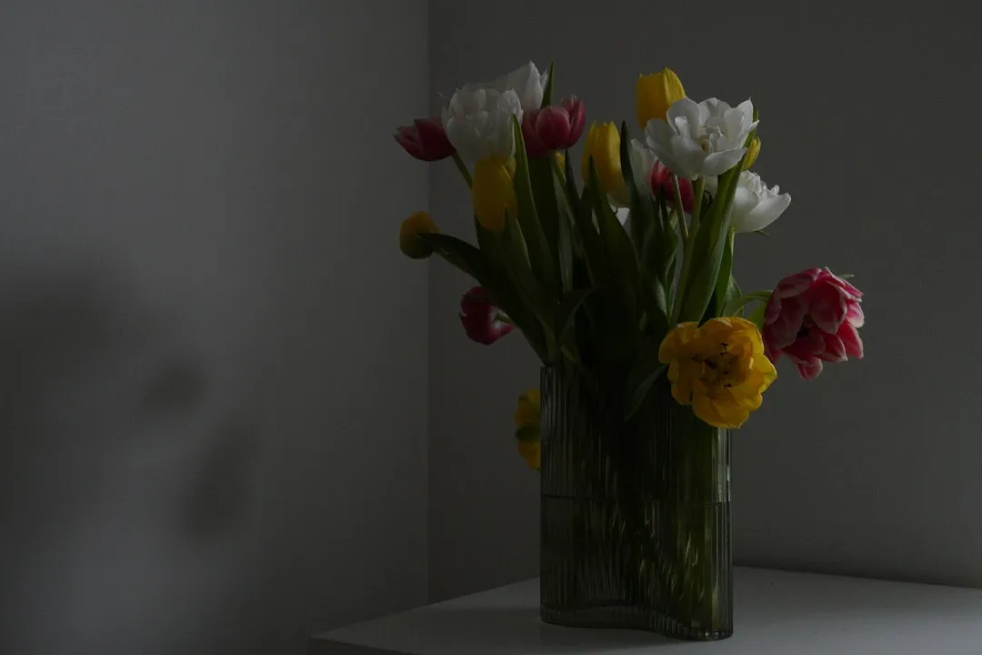 Ramo Primavera