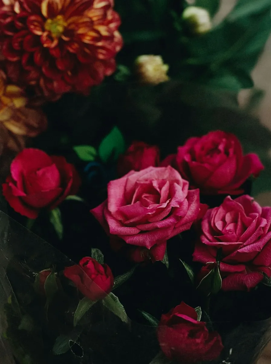 Rosas rojas x12
